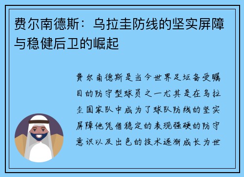 费尔南德斯：乌拉圭防线的坚实屏障与稳健后卫的崛起