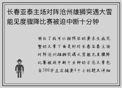 长春亚泰主场对阵沧州雄狮突遇大雪能见度骤降比赛被迫中断十分钟